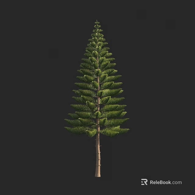 Tall Evergreen Arbor With Lush Foliage And Straight Trunk In Natural Environment 3d model 
