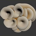 Fan Shaped Light Beige Mushrooms Clustered Together On Dark Surface With Shiny Reflection
