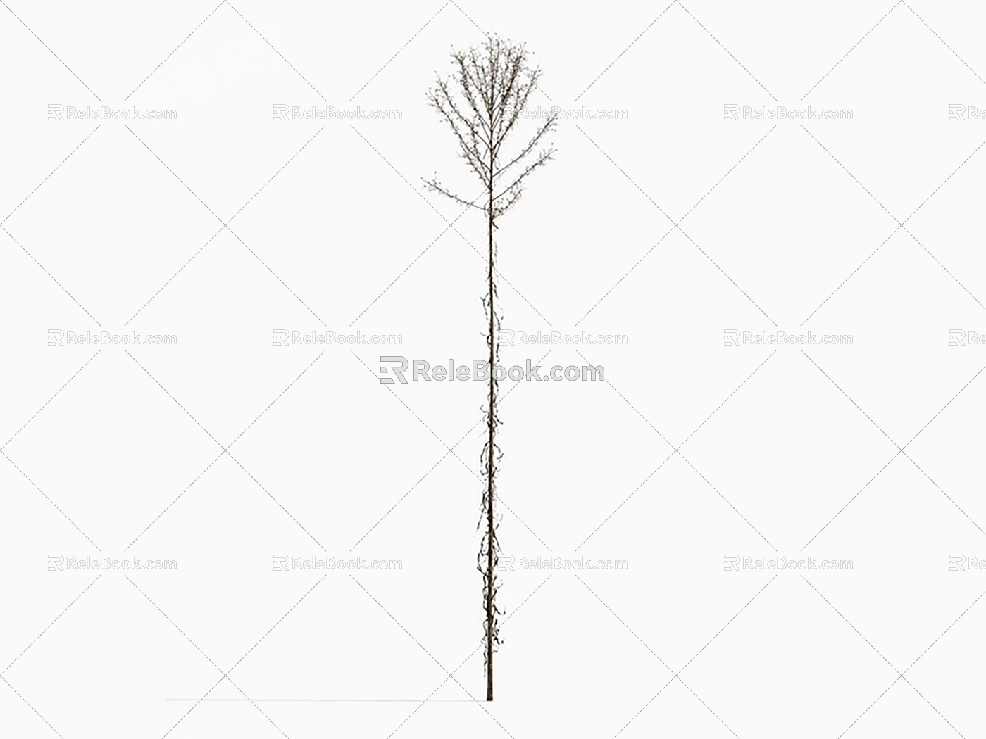 Modern broom chrysanthemum's drill-shaped aster withered grass hay 3d model