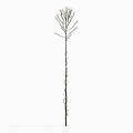 Modern broom chrysanthemum's drill-shaped aster withered grass hay 3d model