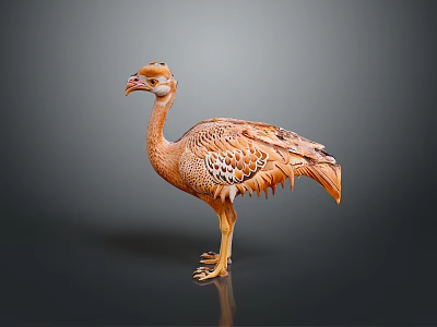 Large Brown Spotted Bird Standing With Detailed Plumage On Dark Background 3d model