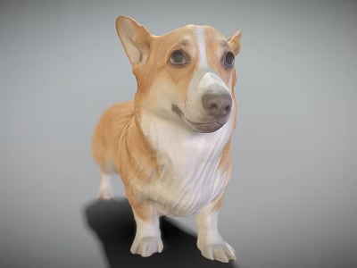 Realistic Brown And White Corgi 3D Model In Standing Pose With Detailed Features 3d model