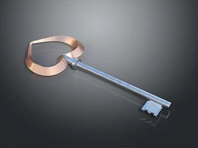 Shiny Metal Hardware Tool Key With Durable Build And Functional Design 3d model