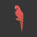 Golden Parrot Perched On Branch With Shiny Feathers Against Dark Background
