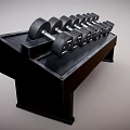 Black Troy Dumbbells with Different Weights on Black Fitness Equipment Rack