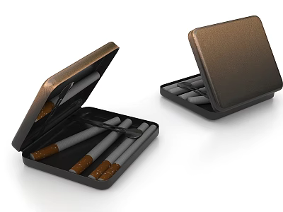 Metal Cases With Cigarette Like Items Open And Closed 3d model