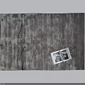 Gray Textured Square Carpet with Two Black White Photos and Small Green Plant in Home