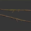 Natural Plant Branches with Green Moss on Brown Stems Against Dark Background