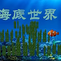 Vibrant Underwater Scenery Featuring Blue Water Green Seaweed and Orange Clownfish