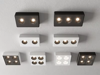 Black and White Downlights and Spotlights 2 3 4 Head Ceiling Mounted Modern Fixtures 3d model