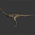 Realistic 3D Dinosaur Model With Long Neck Brown Skin Standing Posture And Gray Background