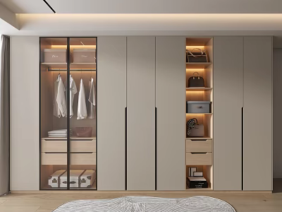 Modern Closet Interior Design With Glass Doors Hanging Clothes Drawers And Storage Lighting 3d model