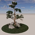 Tall Arbor with Green Grass and Stones Under Blue Sky and White Clouds
