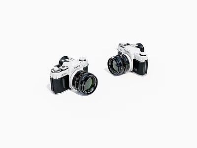 Two Vintage Film Cameras With Classic Design And Detachable Lenses 3d model