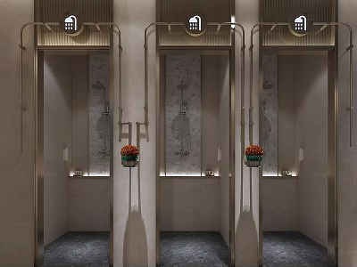 Luxurious Club Entrance Featuring Three Elevator Doors Metal Frames Decorative Art And Flower Vases 3d model