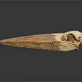 Detailed Animal Skull With Long Sharp Beak And Dark Reflective Background 3d model