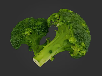 Fresh Green Broccoli Vegetable with Crisp Florets and Healthy Nutrients 3d model
