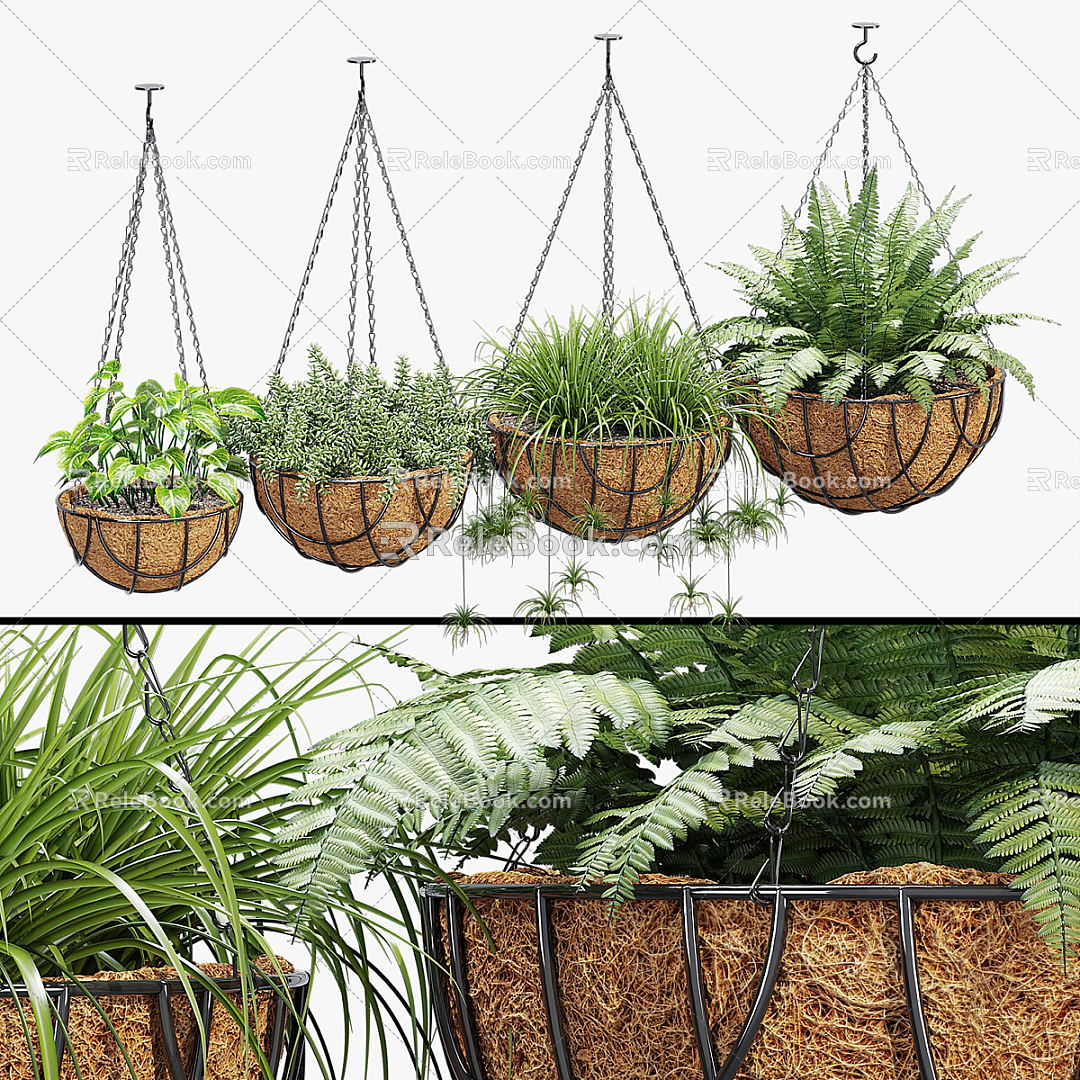 Modern hanging basket plant hanging basket 3d model