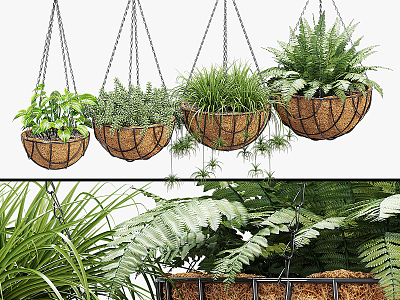 Modern hanging basket plant hanging basket 3d model