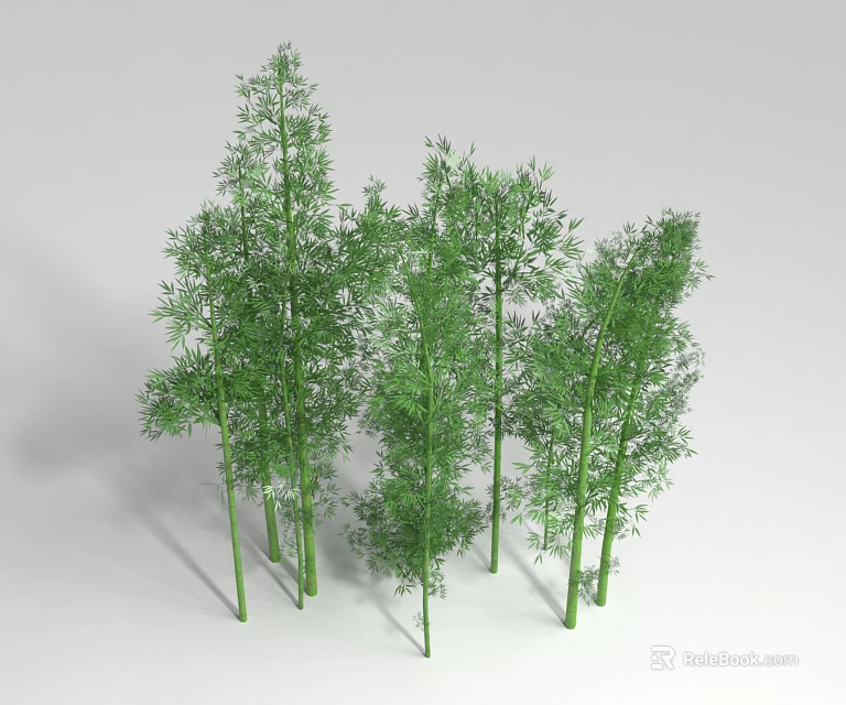 Tall Green Bamboo Plants With Lush Leaves And Natural Growth Features 3d model 