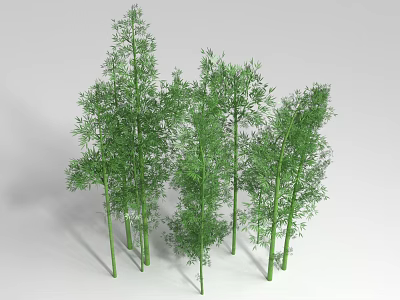 Tall Green Bamboo Plants With Lush Leaves And Natural Growth Features 3d model