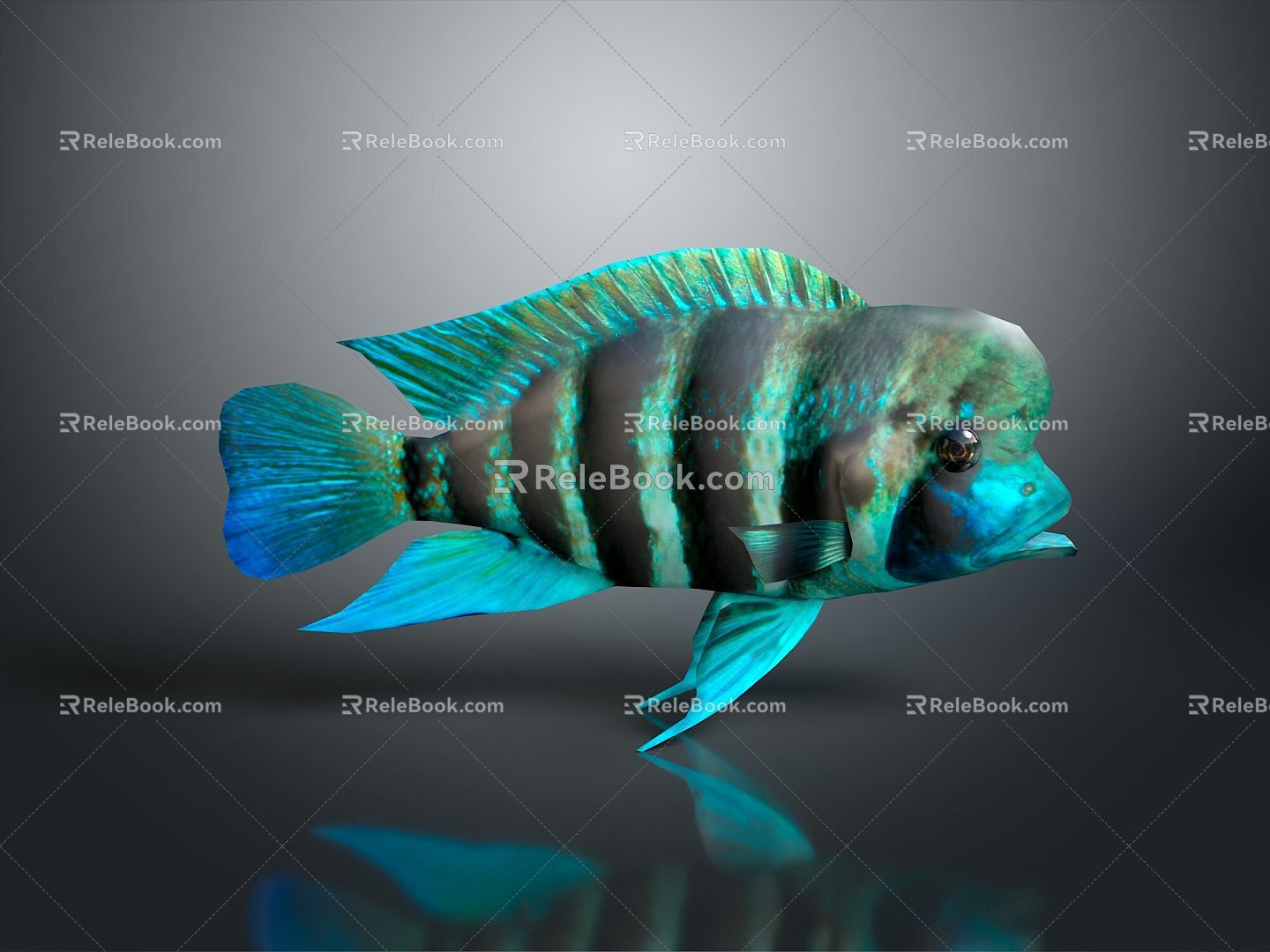 Tropical Fish Colorful Fish Burundi Ornamental Fish Aquarium Coral Fish Underwater Fish Color Fish Cartoon Fish 3d model