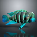 Tropical Aquatic Fish With Green Blue Striped Body And Vibrant Fins