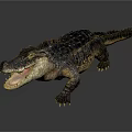 Modern crocodile Nile crocodile carnivore 3d model