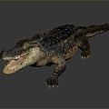 Modern crocodile Nile crocodile carnivore 3d model