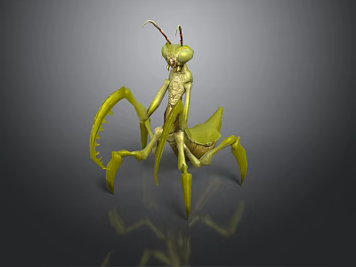 Green Praying Mantis with Long Forelegs and Slender Body on Gray Background with Reflection 3d model