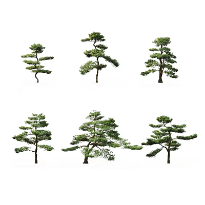 Different Shaped Arbor Trees with Lush Green Foliage and Curved Branches 3d model