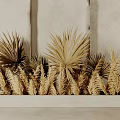 Natural Golden Herbs And Palm Like Plants In White Rectangular Planter Against Beige Wall