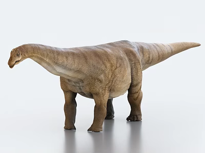 Detailed 3D Model Of Large Long Necked Dinosaur On White Background 3d model