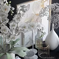 Elegant Decorative Ornament Set With White Orchids Butterfly Art Golden Accents And Inspire Framed Decor