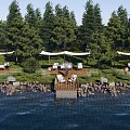 Scenic Waterfront Leisure Area With Wooden Decks Pine Trees And Fishing Spots