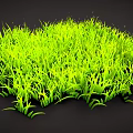 Vibrant Green Lush Grass With Natural Leaf Texture On Dark Background 3d model