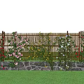 Climbing Vines With Colorful Flowers On Wooden Fence Against Blue Sky And Green Grass