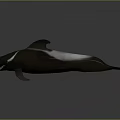 Realistic 3D Rendered Orca Whale in Swimming Pose with Open Mouth on Gray Background