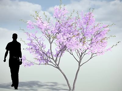 Purple Flowering Tree With Silhouette Of A Person Against Blue Sky And White Clouds 3d model