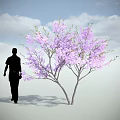 Purple Flowering Tree With Silhouette Of A Person Against Blue Sky And White Clouds