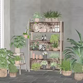 Indoor Potted Plants Display On Multi Tiered Wooden Shelf With Various Green Plants