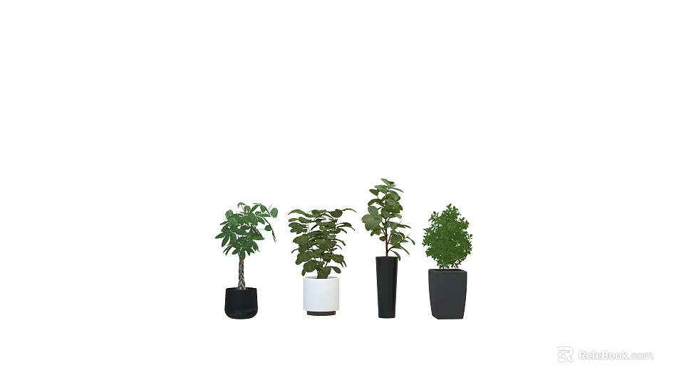 Different Bonsai Plants Collection With Green Leaves And Black White Pots 3d model 