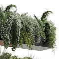 Decorative Bonsai Potted Plants With Layered Hanging Greenery In Black Containers