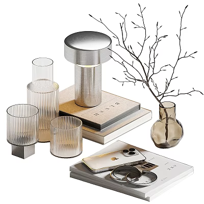 Stylish Decorative Ornament Set With Silver Table Lamp Transparent Glass Cups Stacked Books Twig Decoration 3d model