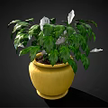 Lush Indoor Plant With Green And Silver Leaves In Yellow Pot