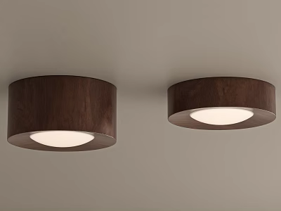 Wooden Round Downlights Mounted On Ceiling With Bright White Lighting 3d model