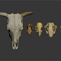 Animal Wall Decor Featuring Cow Skull and Small Animal Skulls for Home Decoration