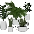 Various Green Potted Plants with Different Shapes Heights and White Pots on Metal Stands