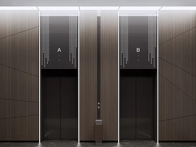 Two Modern Elevators With Dark Doors And Wooden Wall Lighting Design 3d model