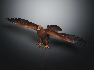 Majestic Eagle with Spread Wings Brown Feathers and Yellow Talons on Dark Background 3d model